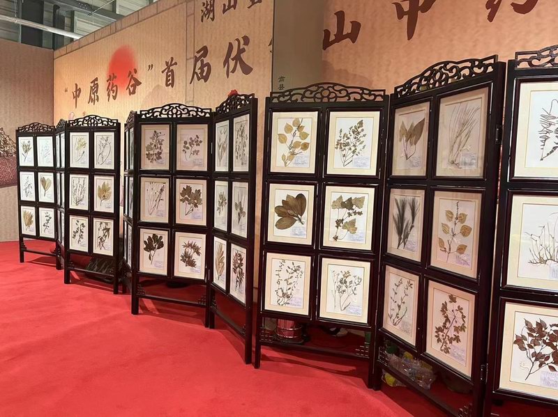 1681811466405925.jpg 1681811466405925.jpg